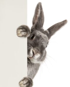 blog abfallfrei durchs osterfest 1080x1350