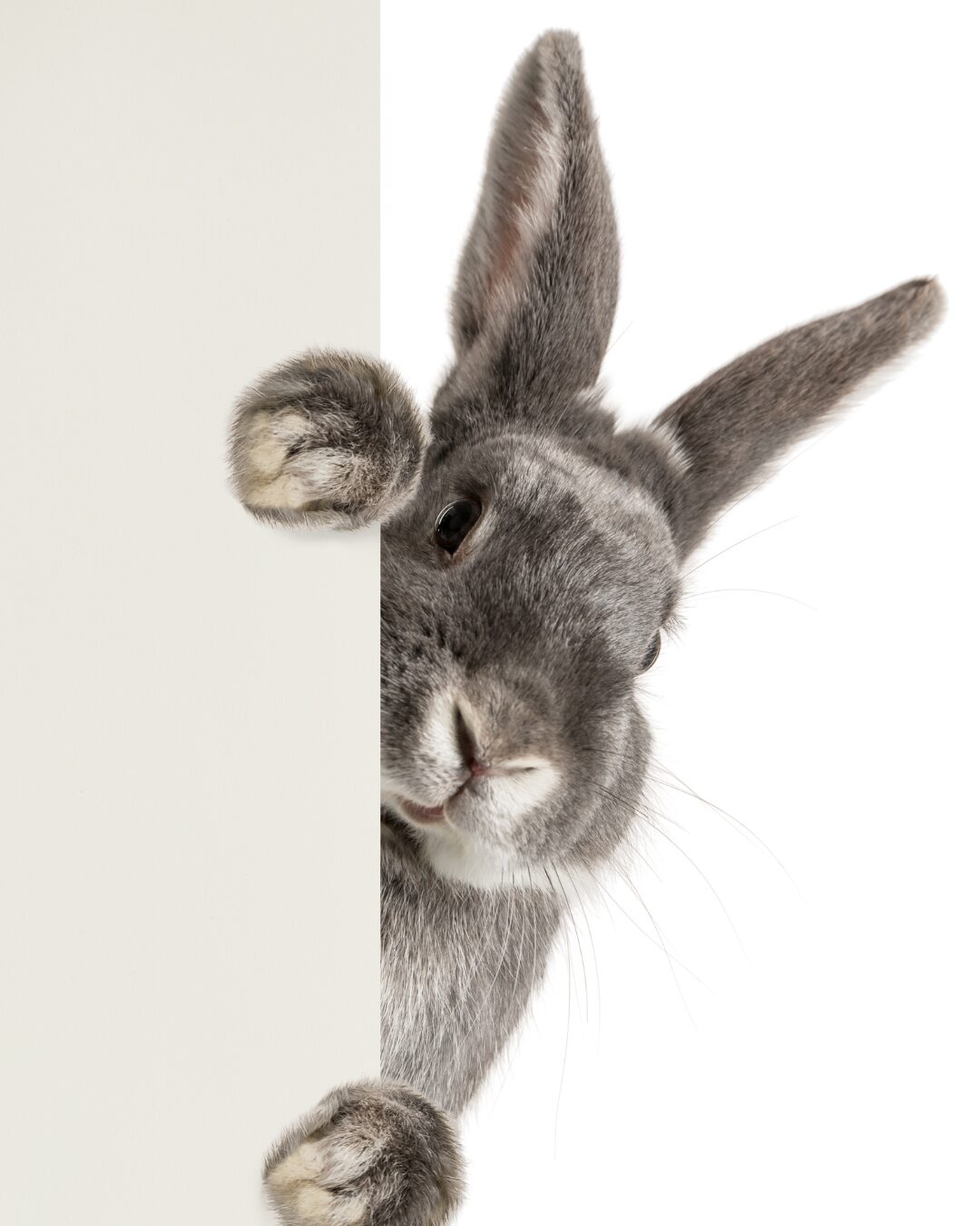 blog abfallfrei durchs osterfest 1080x1350