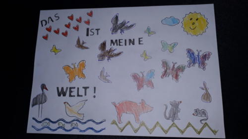 Jakob Federholzner Wcd 2020 20200904 120307