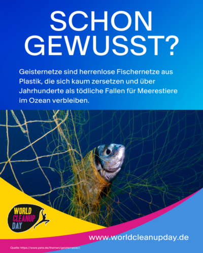 Geisternetze WCD 1050-x-1350px