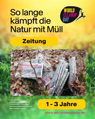 Verrottung Zeitung WCD 1050x1350px